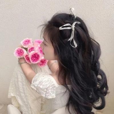 秘密：梦想的力量